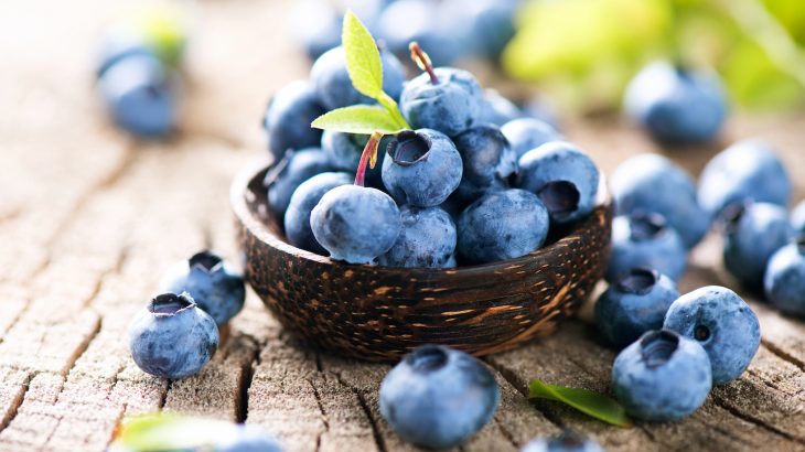Grow Blueberries With More Antioxidants